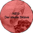 aktuelle kolumne